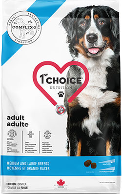 1st Choice Adult Medium and Large Breeds