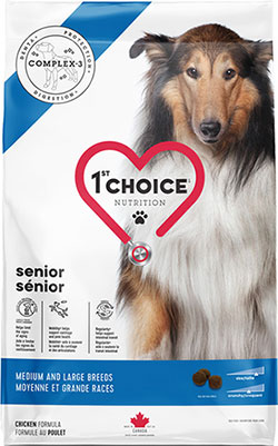 1st Choice Senior Medium and Large Breeds
