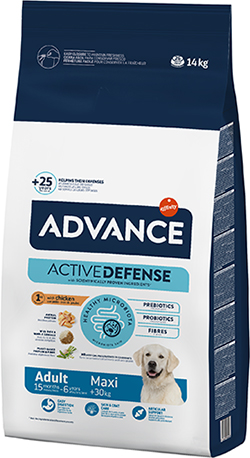 Advance Maxi Adult (c курицей и рисом)
