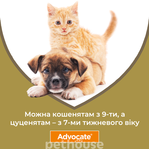 Bayer Advocate для котів від 4 до 8 кг, фото 3