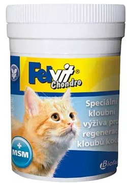 Biofactory Фельвит Хондро МСМ