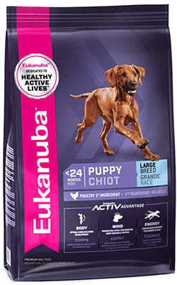 Eukanuba Puppy & Junior Large Breed Chicken