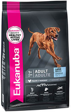 Eukanuba Adult Large Chicken