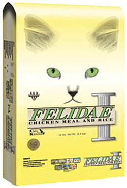 Felidae Cat&Kitten