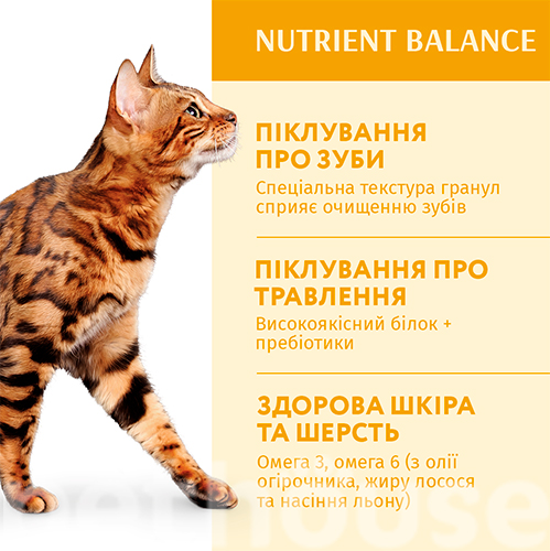 Optimeal Cat Adult Chicken, фото 4