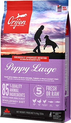 Orijen Puppy Large 42/18