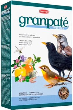 Padovan Granpatee Insectes
