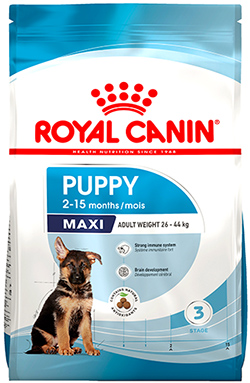 Royal Canin Maxi Junior 32