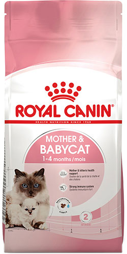 Royal Canin Babycat 34