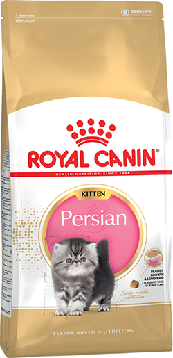 Royal Canin Kitten Persian 32