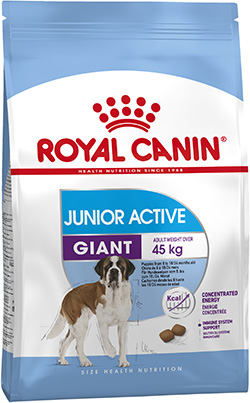 Royal Canin Giant Junior Active