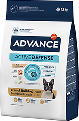 Advance French Bulldog