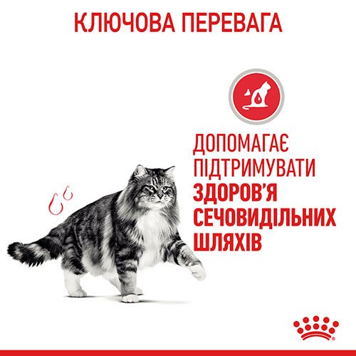 Royal Canin Urinary Care в соусі для котів, фото 4
